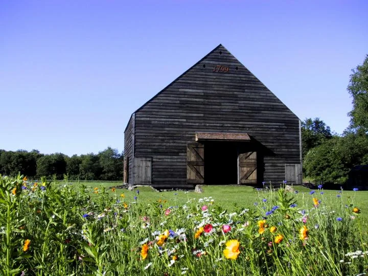 barn-flowers 