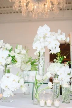 Fairfield Country Wedding Reception, Lilian Haidar Photography 