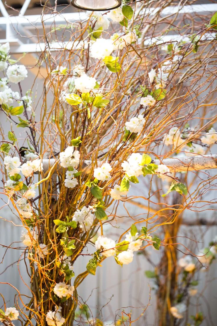  Fairfield Country Wedding Reception, Lilian Haidar Photography 