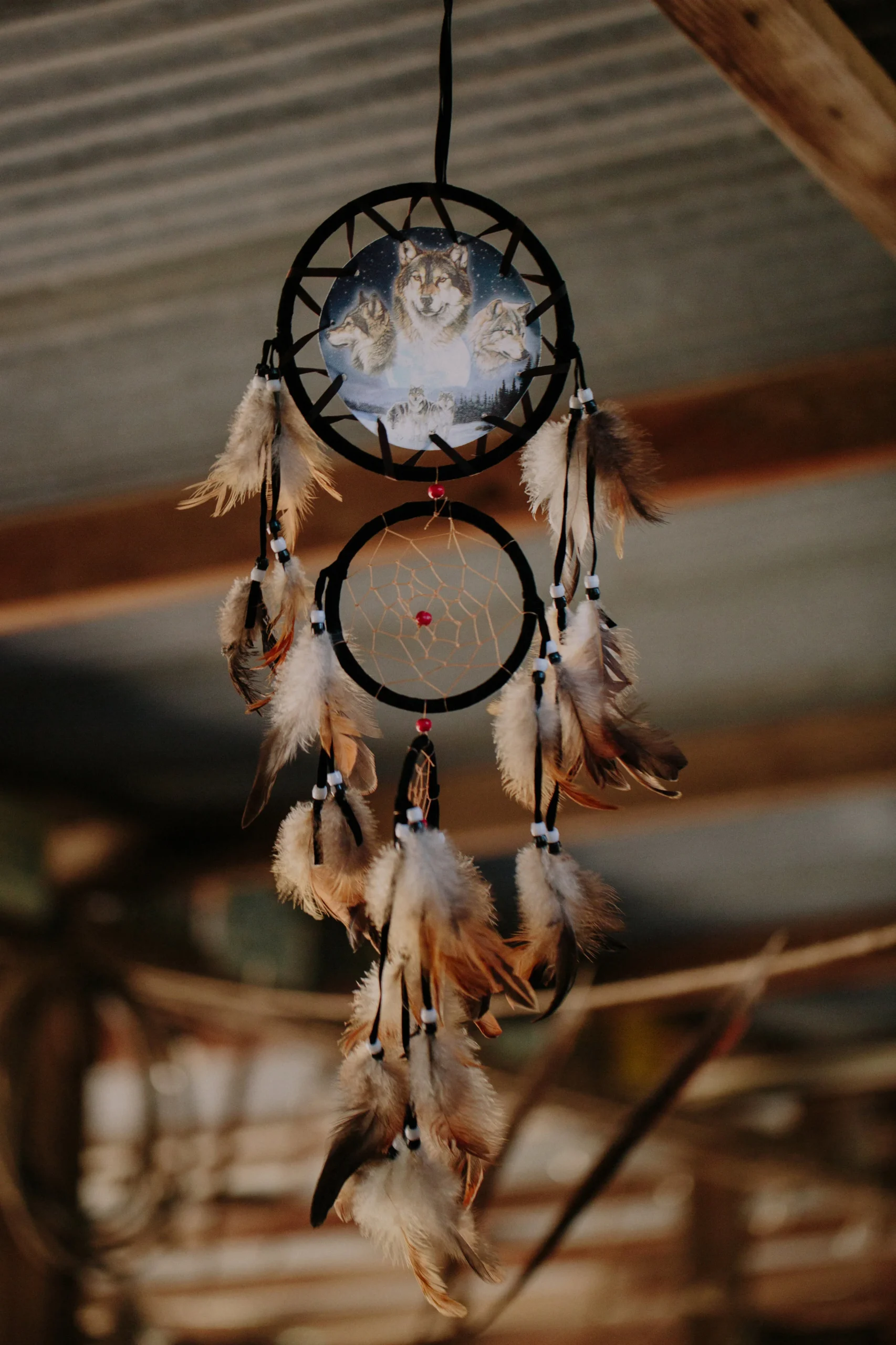  View More: http://robertjhill.pass.us/bigler 