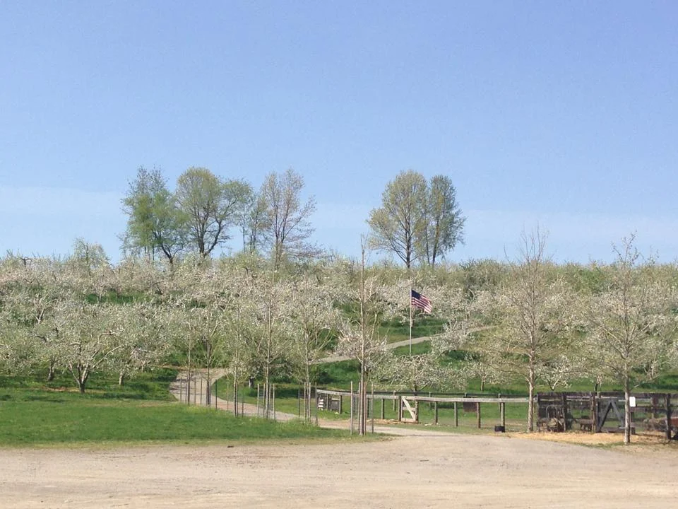  Westchester Wedding Venue 
