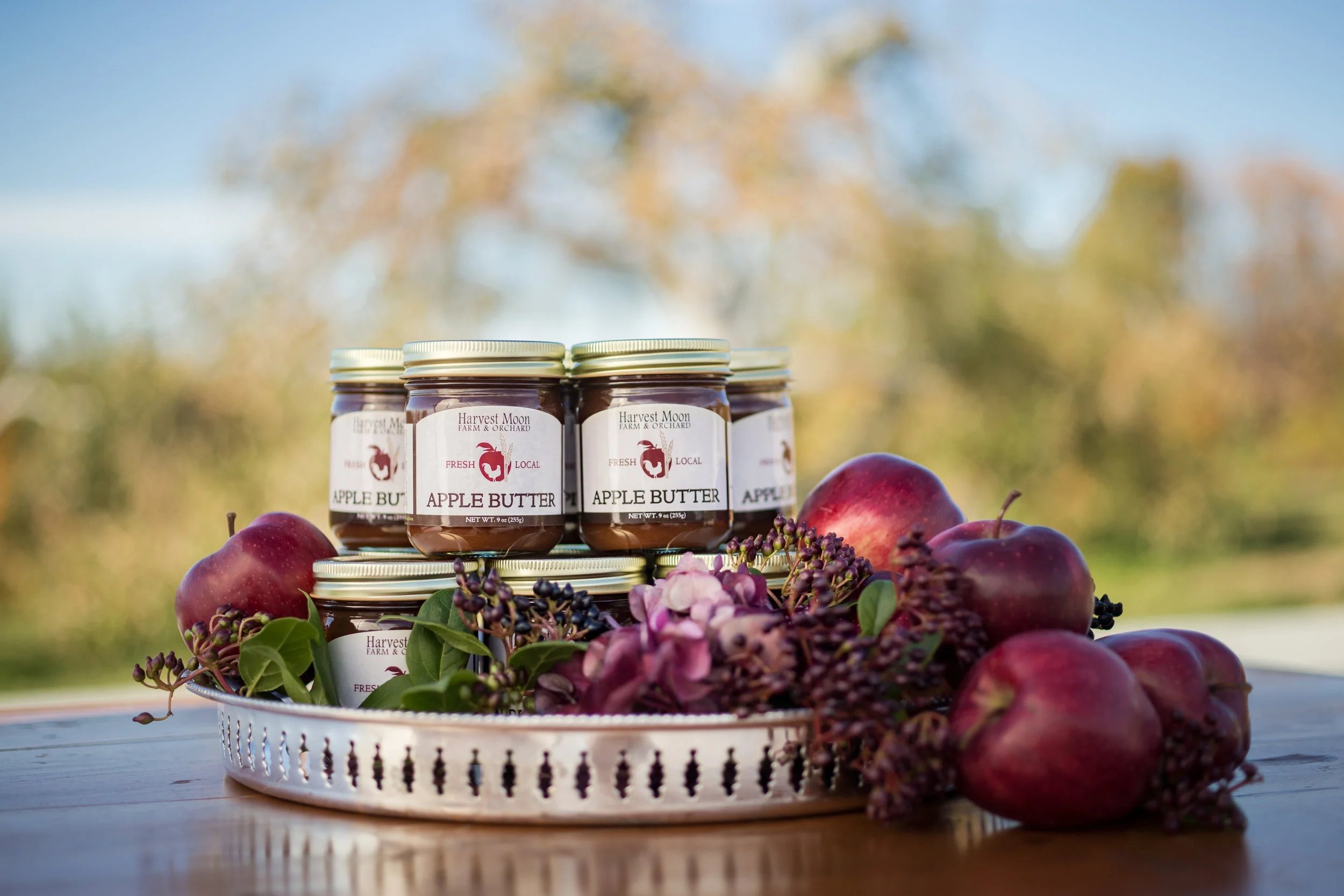  NY Wedding Planner at Harvest Moon Farm Orchard 