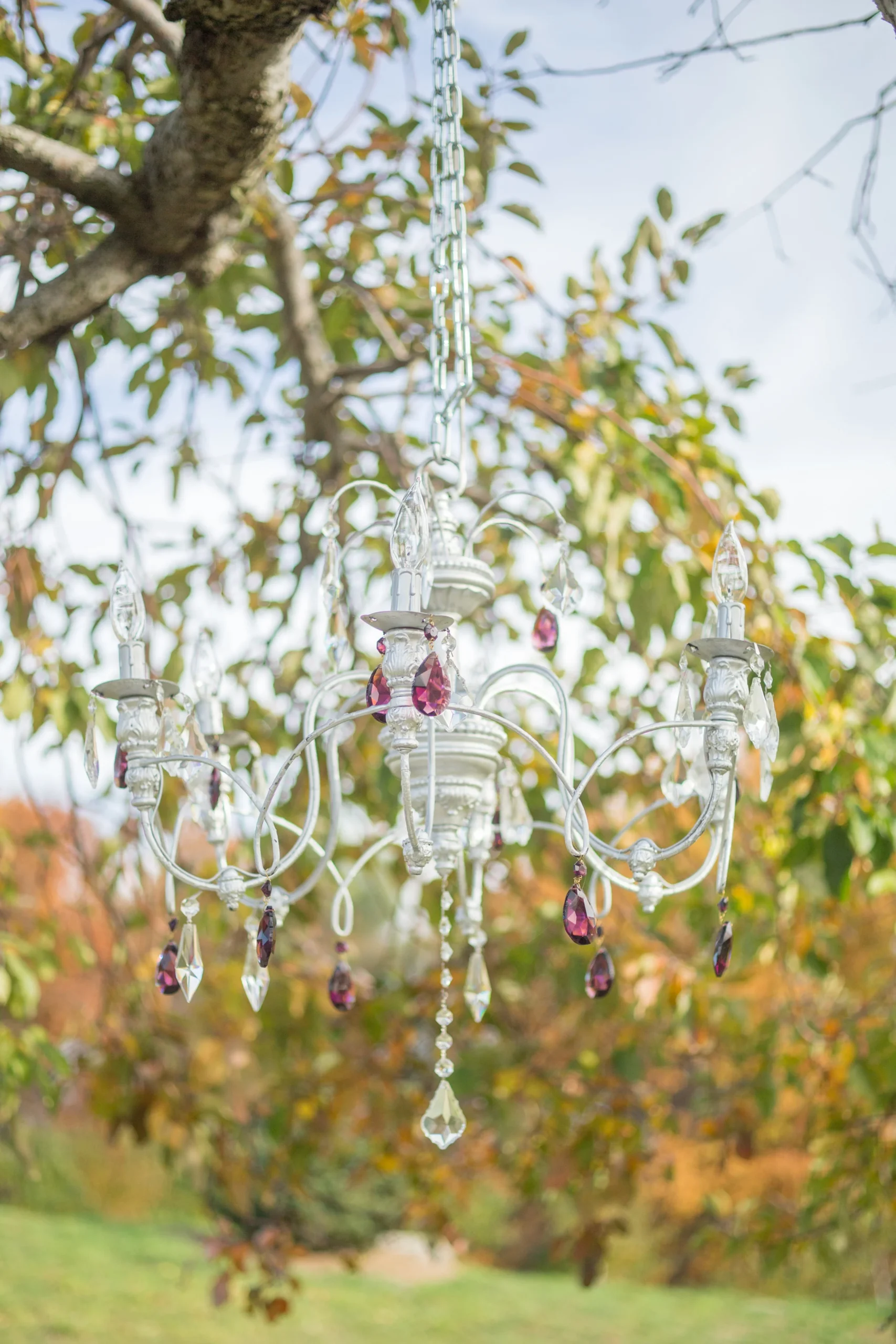  NYC Wedding Planner Ashley Douglass Events at Harvest Moon Farm Orchard with Social Decor (chandelier) 