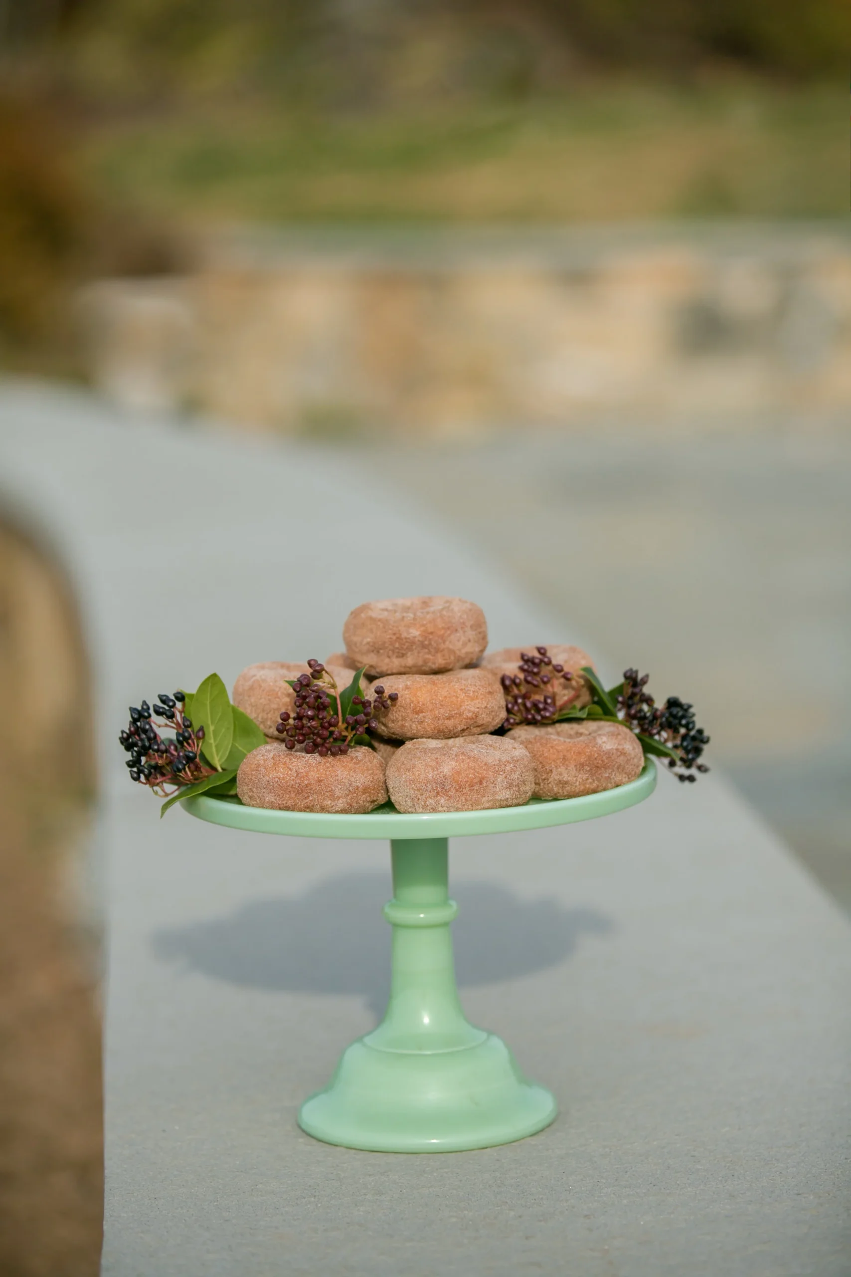  The farm makes fresh cider donuts each morning and they're amazing! 