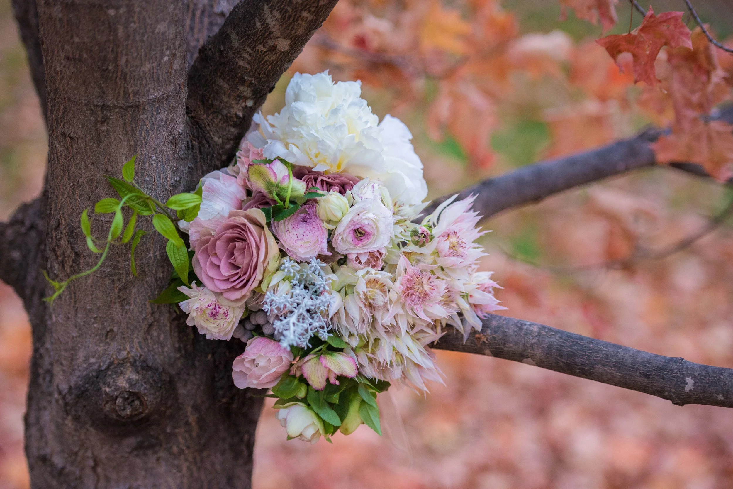  © 2015 Dennis Kwan Photography - http://www.denniskwanweddings.com 